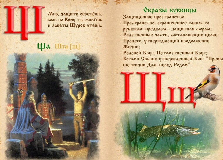 32-шта