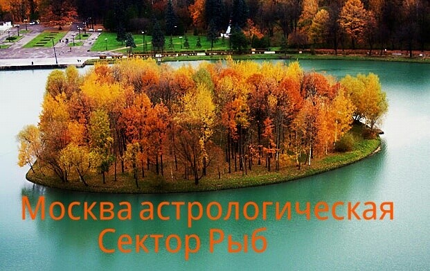 Sektor Ryb