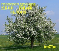yablonya